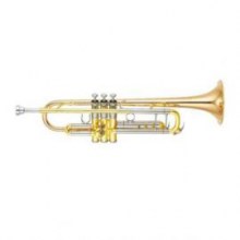 trompete-yamaha-ytr-foto-bild-s976964268