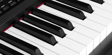 Die Ivory-Touch-Oberfläche der Tasten des UP-1 sorgt gleichzeitig für eine unglaublich hochwertige Haptik.