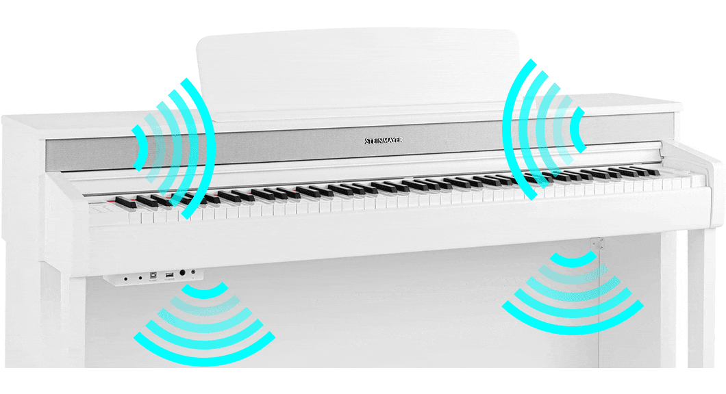Das Lautsprechersystem des DP-361