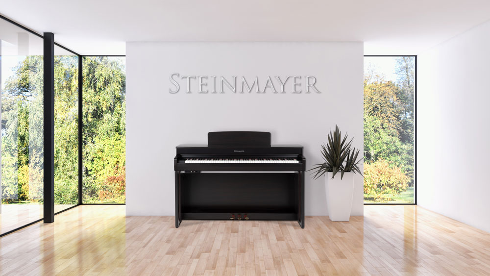 Steinmayer DP-361