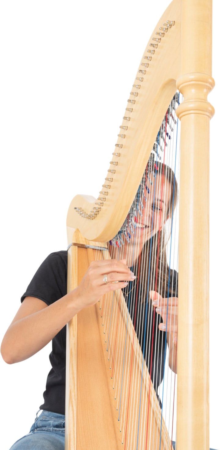 Hakenharfe